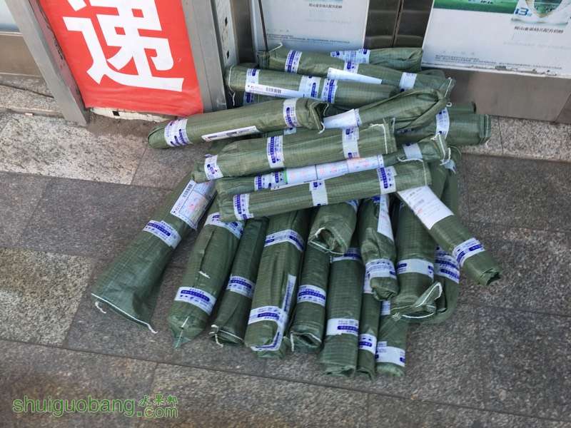 194930vy1771hkphiph1h1.jpg