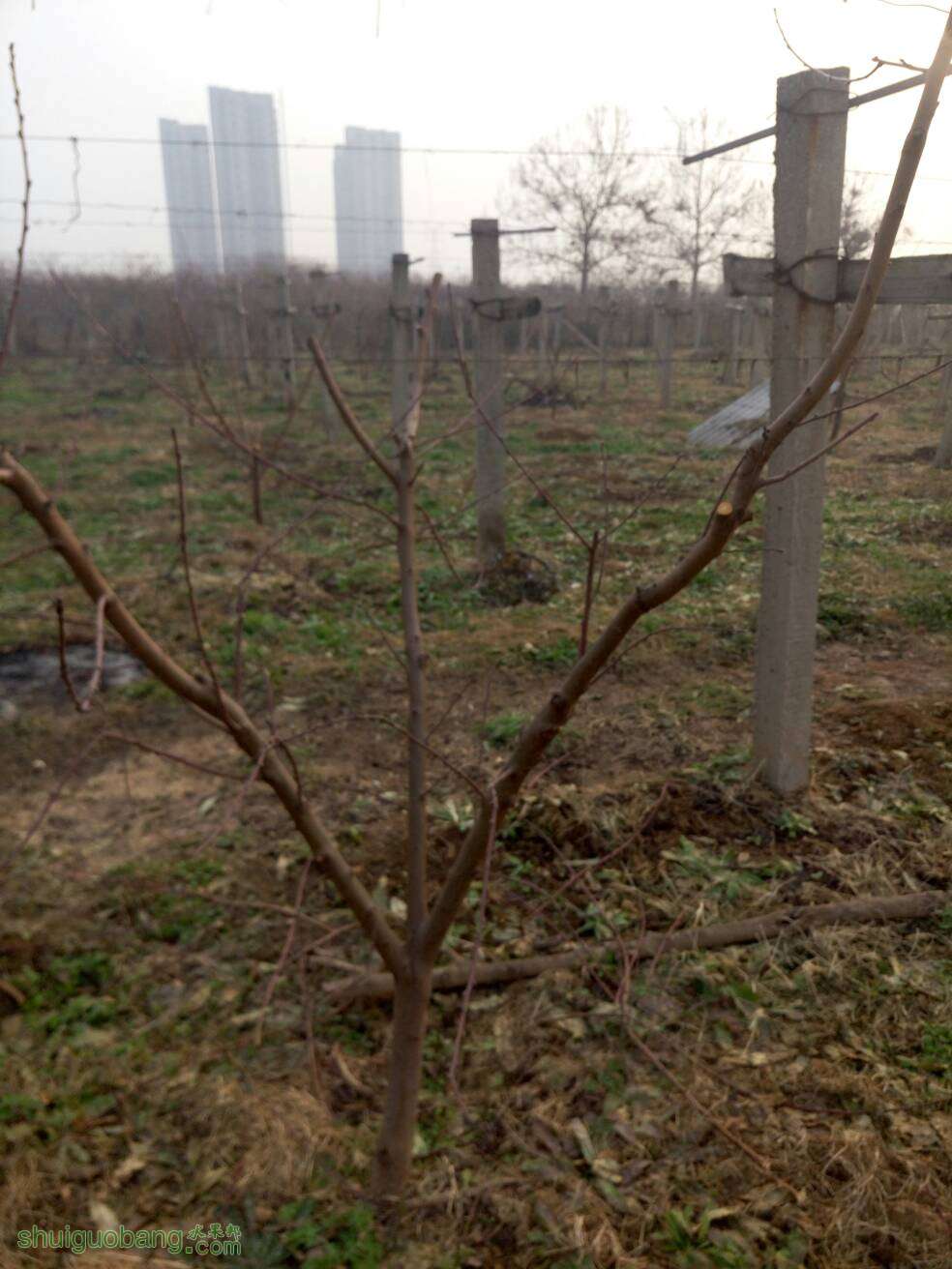 220124ouukcsw7cxocw7ov.jpg