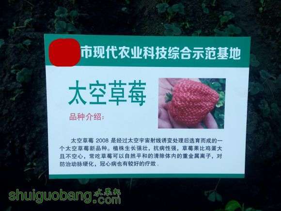 IMG_20161124_154711.jpg