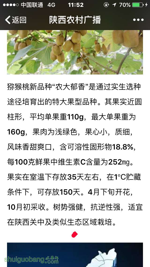 115320jjiaoi2rqi20fi4a.jpg