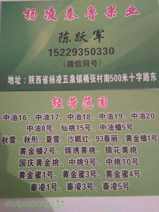 220342zwg8bs9wi2gt6w8b.jpg