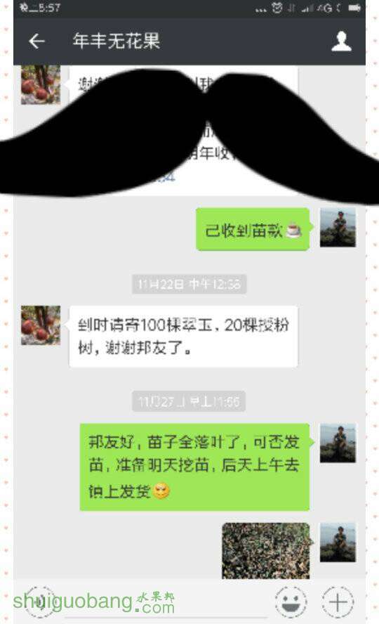 211010aee6fxjbbgjcsl9o.jpg