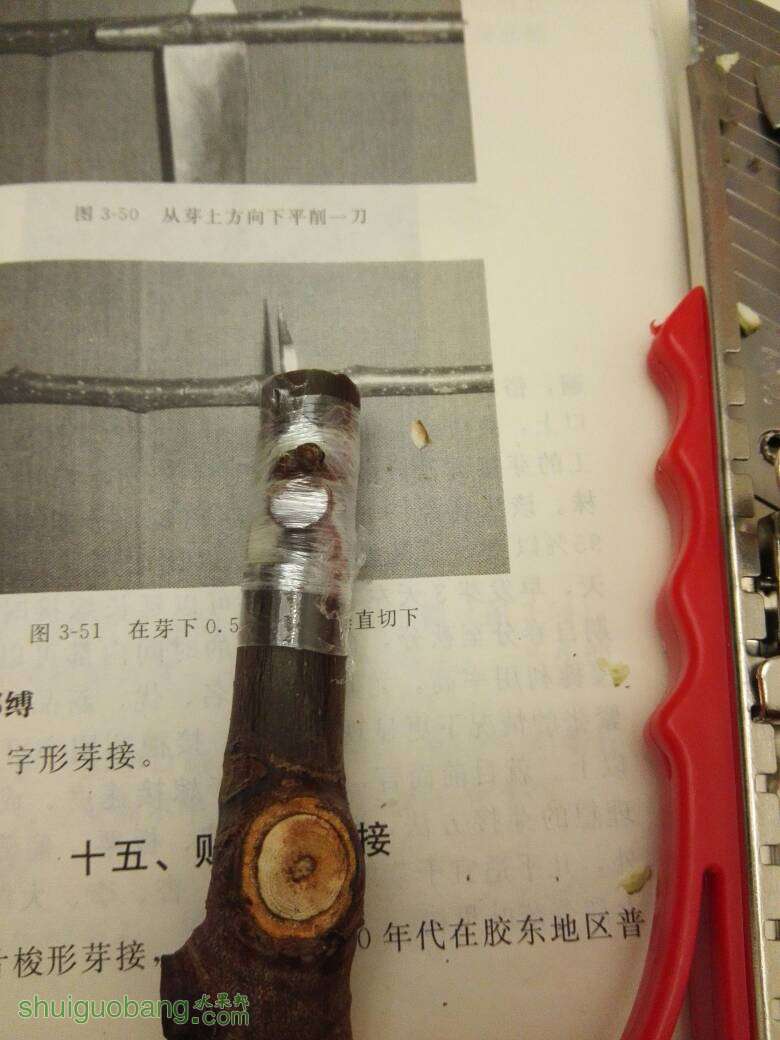 005542mdlf8fdpcf88pls9.jpg
