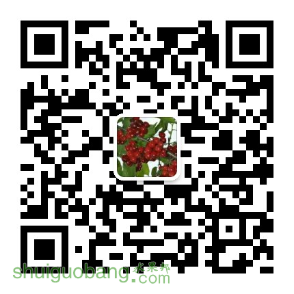 mmqrcode1481221404721.png