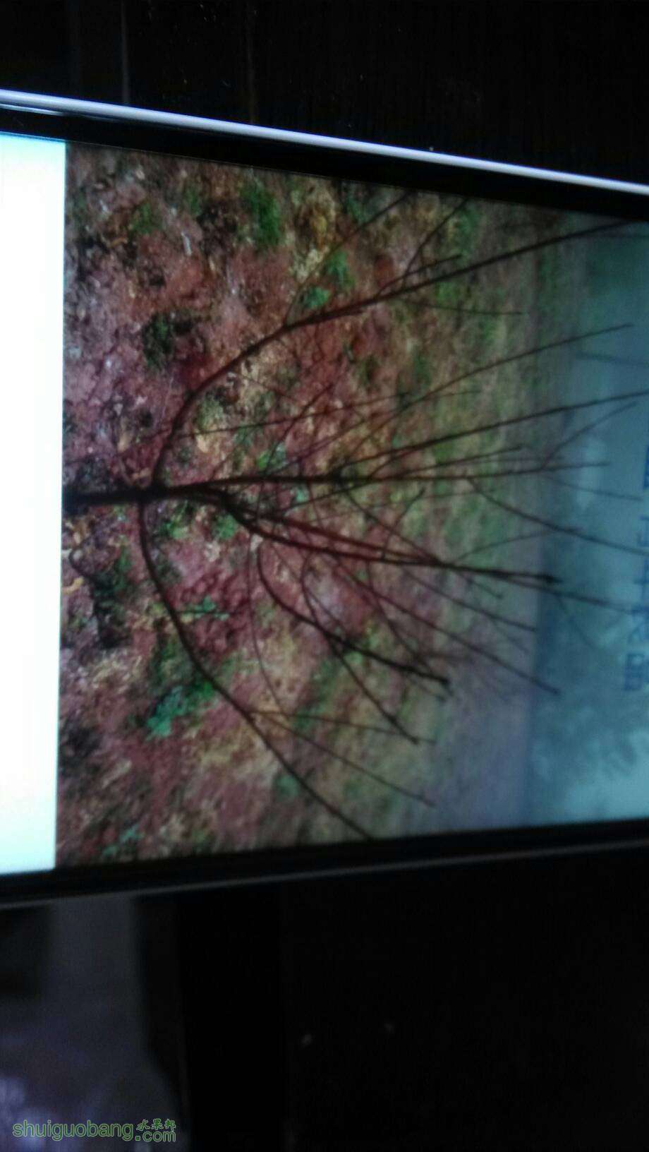 120713dzgw7duzeqrq7y55.jpg