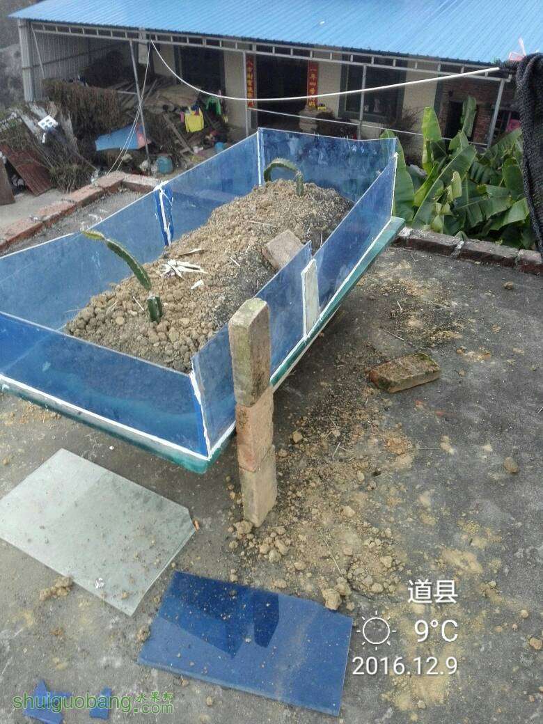 183501w9i71bdlailnn0jb.jpg