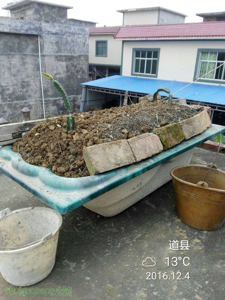 183502gd5kz4e9wahep59p.jpg