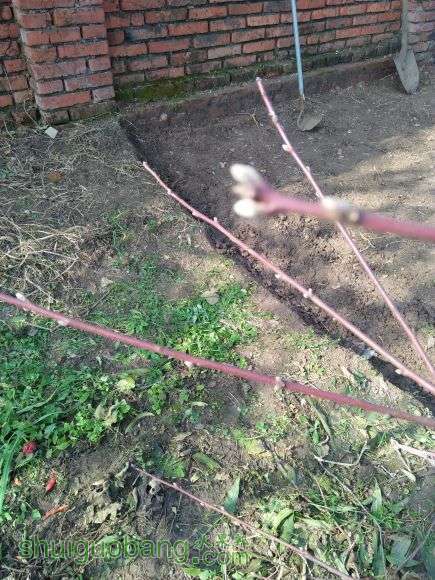 IMG20161209123016.jpg