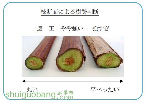 QQ��ͼ20161210000548.png