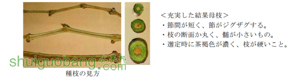 QQ��ͼ20161210000612.png