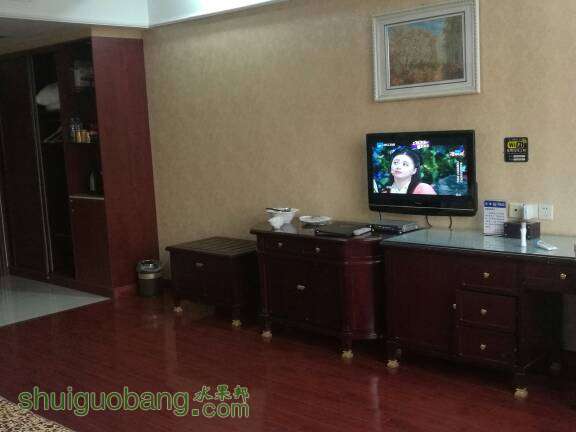 133004choht4qqanita43m.jpg