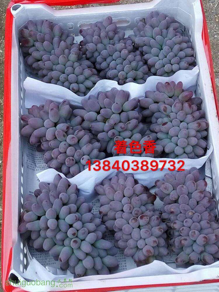 213542qxn56ztn1mt17igg.jpg