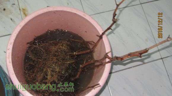 Ƭ 099.jpg