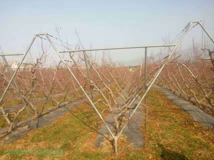 102246femedwpmfdhgtp89.jpg