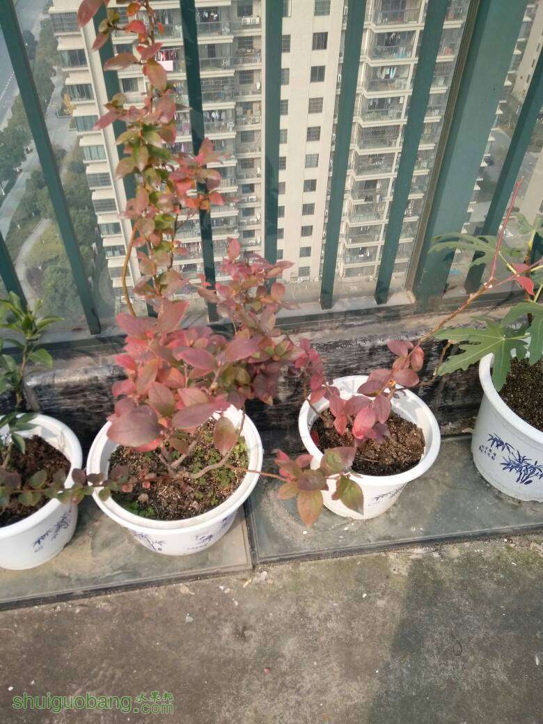 140413pfxy3fcxudxbfey0.jpg