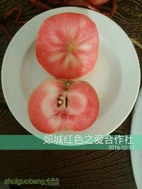 120829ackg0ao86mommeze.jpg