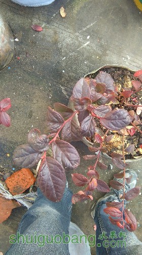 IMAG1402.jpg