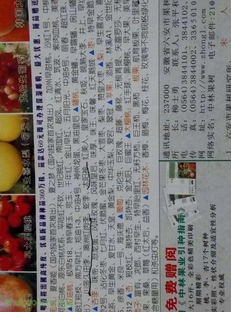 220347z1u394hs9hkkm3gz.jpg
