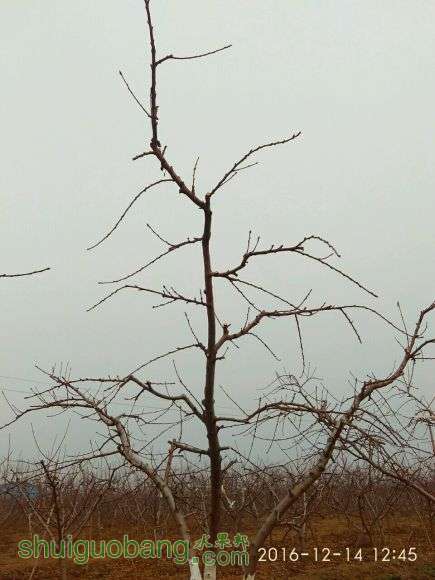 a11.jpg