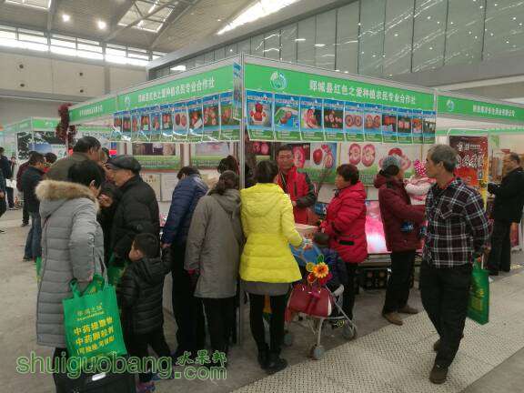 125806marrafav99hv39xm.jpg