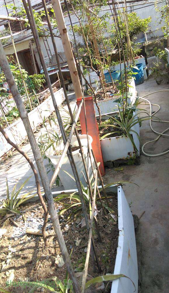 130452dt76tf5dlbc76tsj.jpg