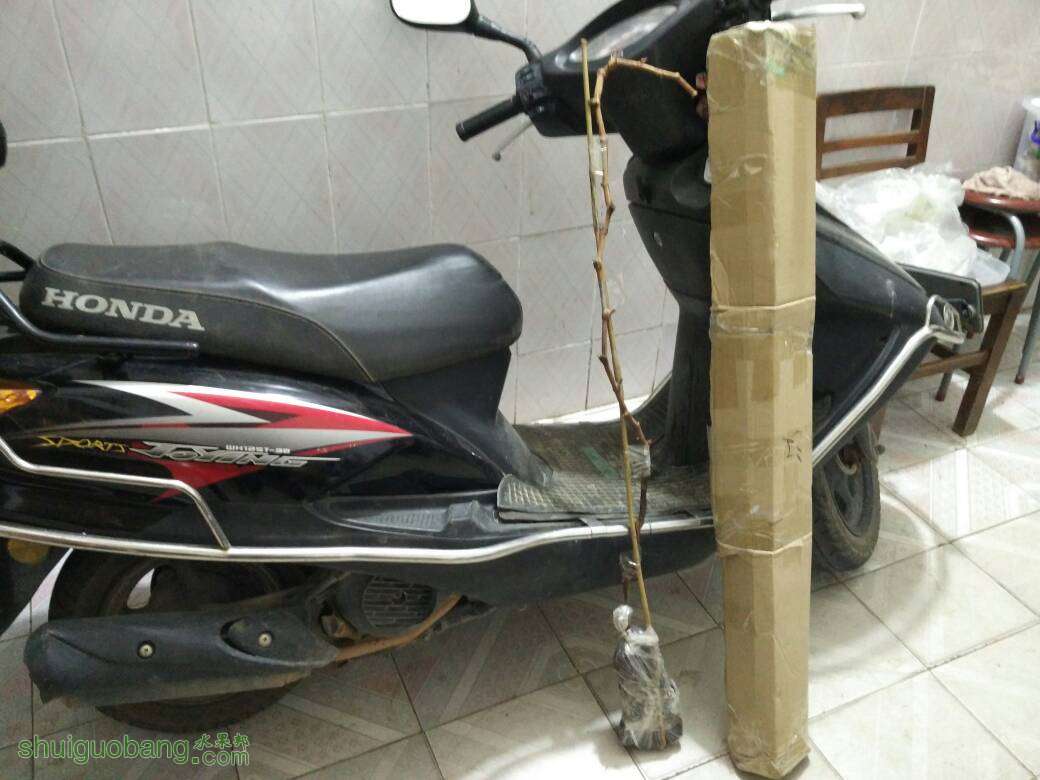 210022fx0akgz57gg14rk5.jpg