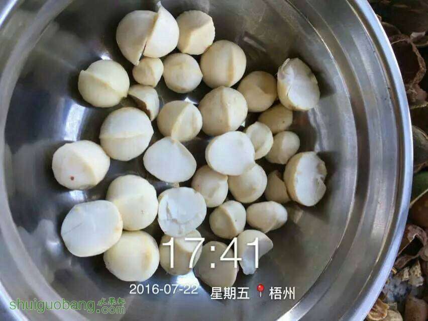 073926tpp6u66i6rbpz36r.jpeg