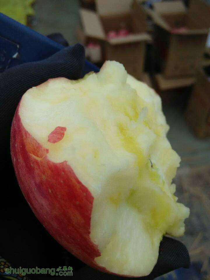 115759fppjxiixgzx5igvv.jpg