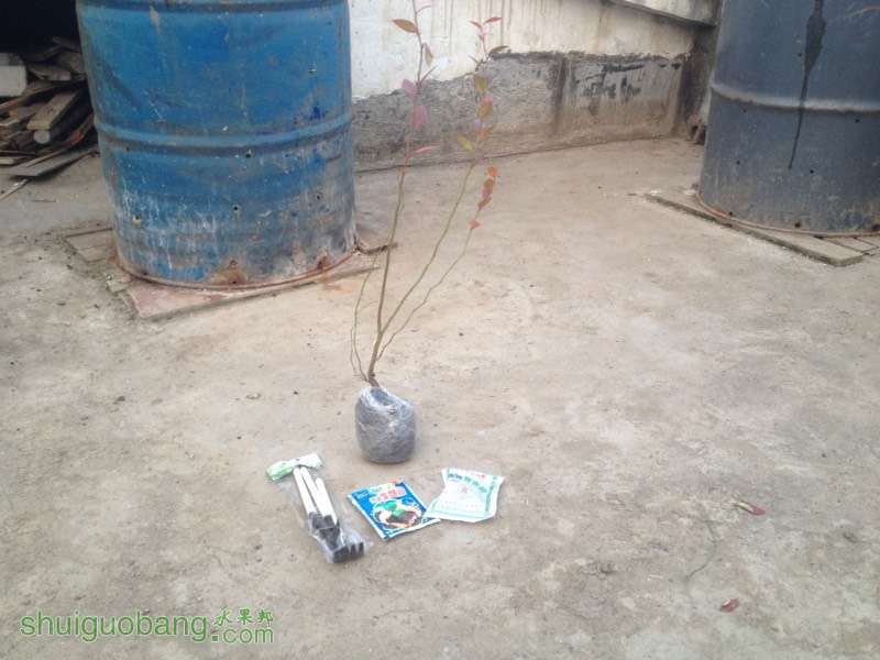 122044u50uinzhgaa2p2ss.jpg