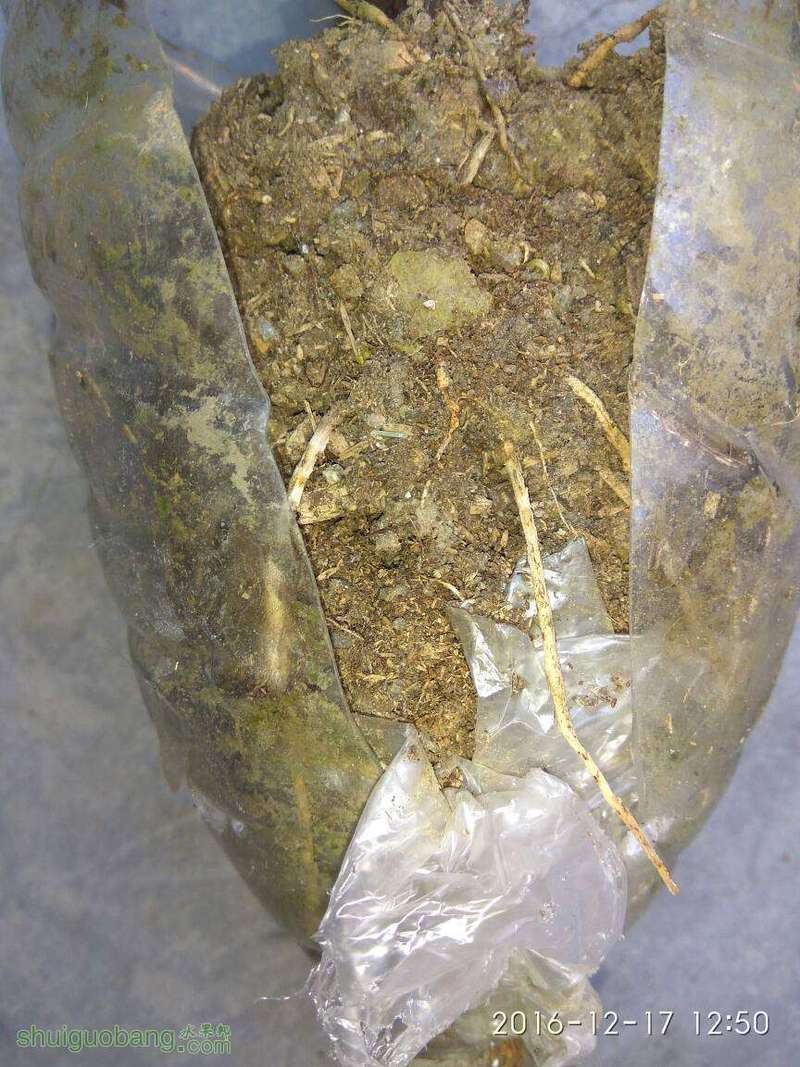 131447bcqnenkqxcskhssh.jpg