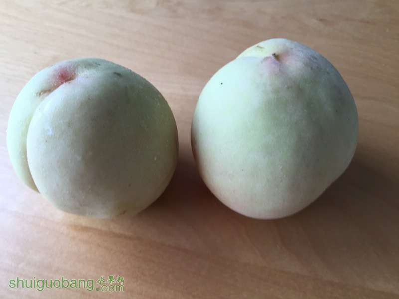 150258a8tssekdnszejan1.jpg