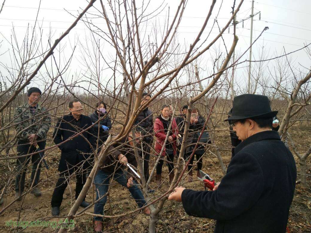 072041ckmjkjo939wadaun.jpg
