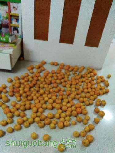 IMG20161219170044.jpg