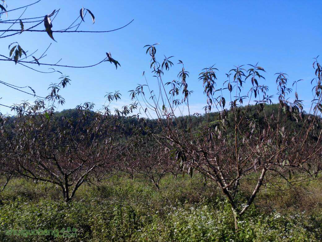 202832pano00f9519090e4.jpg