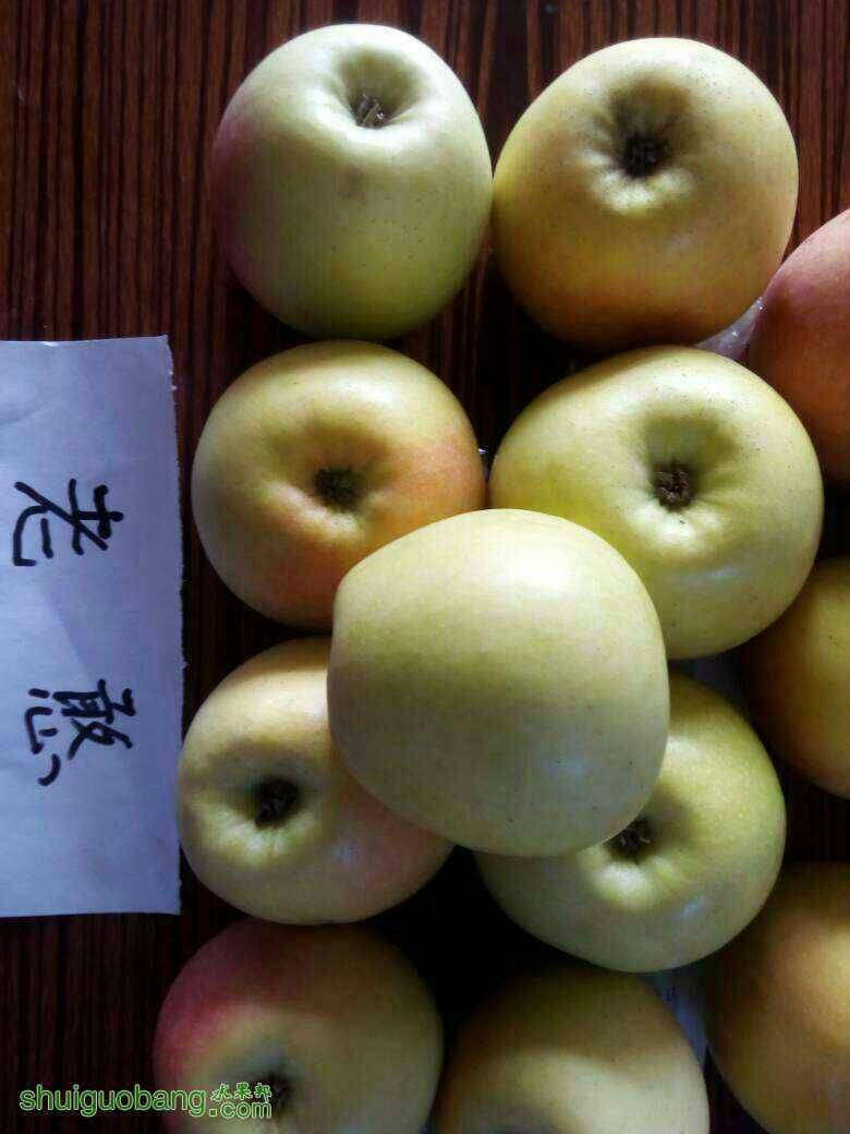 210226kwjezuj6vv6z0t6d.jpg