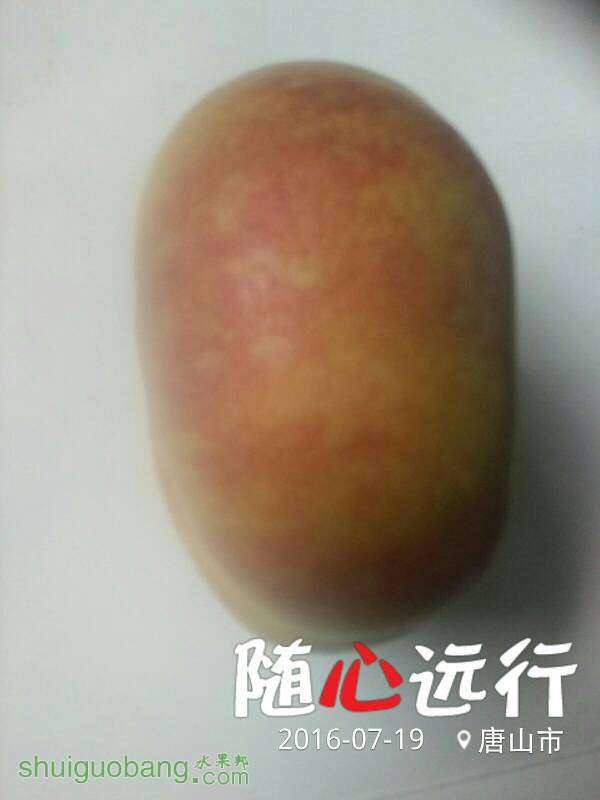 140159kqrlp9jv3ollncrm.jpg