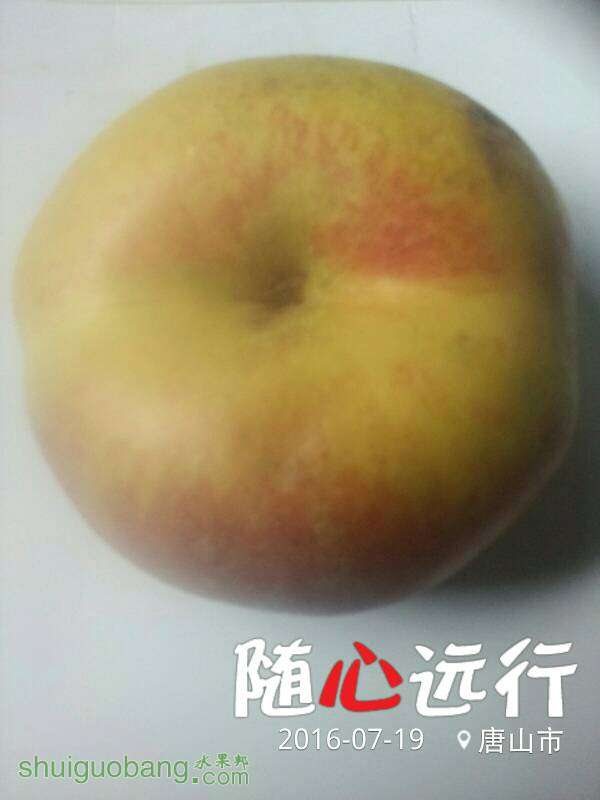 140159t897auepn93qa0pv.jpg