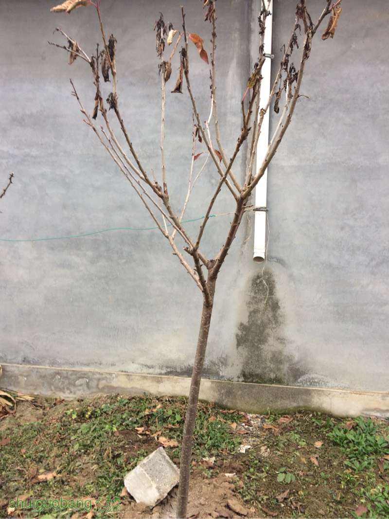 162846pznbprcbaxxbxn6m.jpg