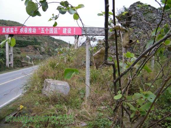 DSCF6959.JPG