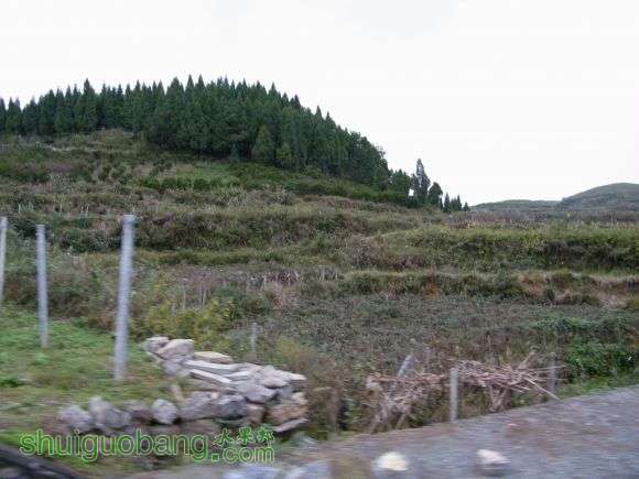 DSCF6984.JPG