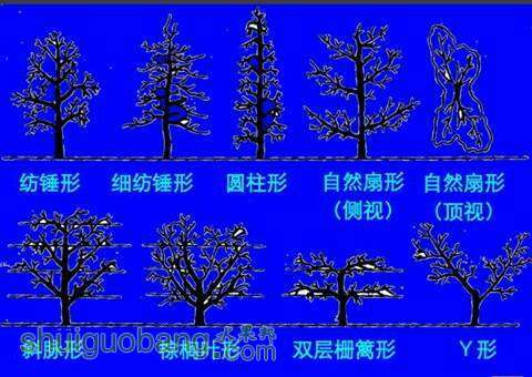 233431dcdlygrvrvmggyle.jpg