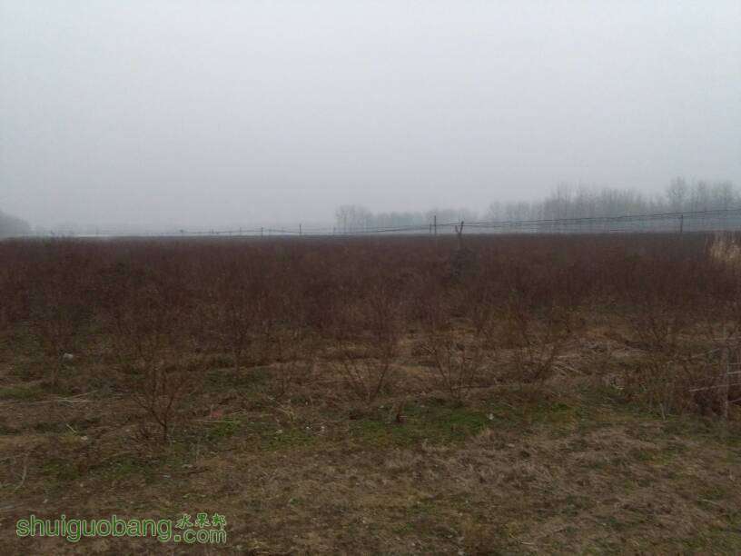 085753knjda4zvvdv93rl5.jpg