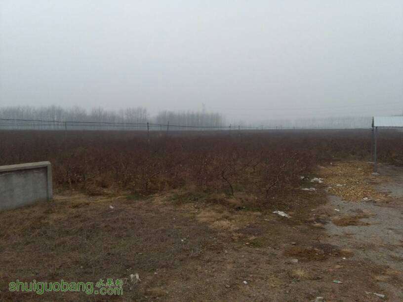 085753pzdamaulkpwakx49.jpg