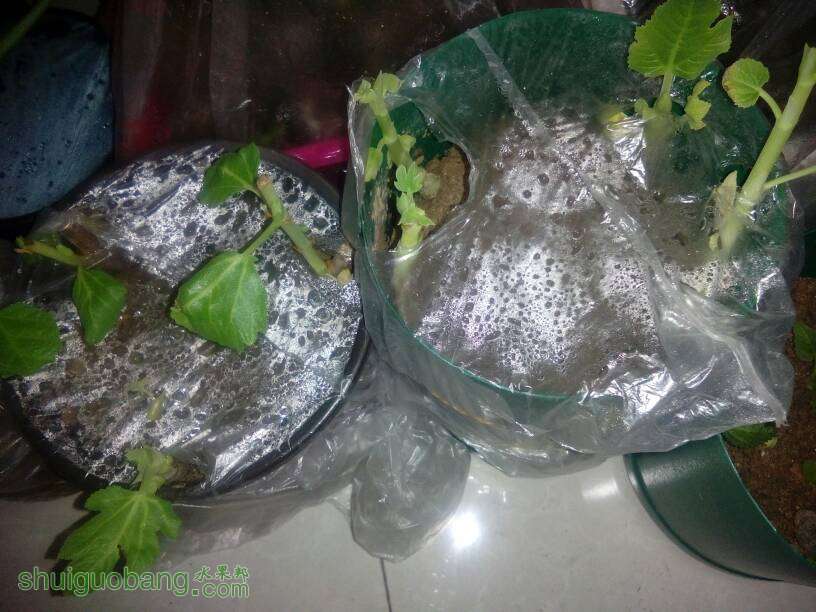 123430jxxpkryrloo03opu.jpg