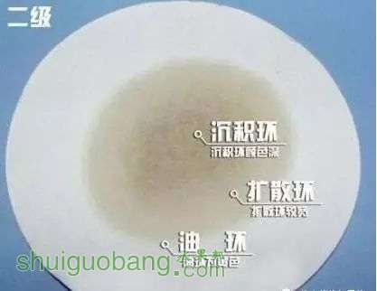 12.webp.jpg