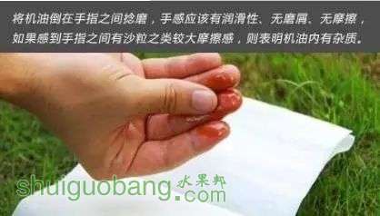 15.webp.jpg