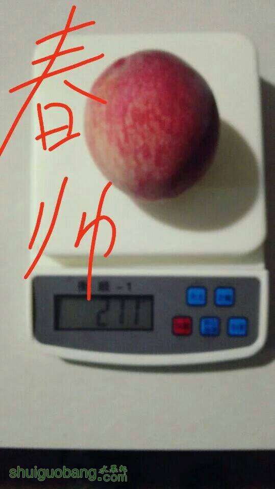 070250r74m9bu97ulkll7m.jpeg