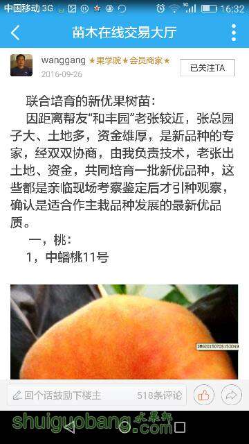 163410rvicu21dkdivi41p.png