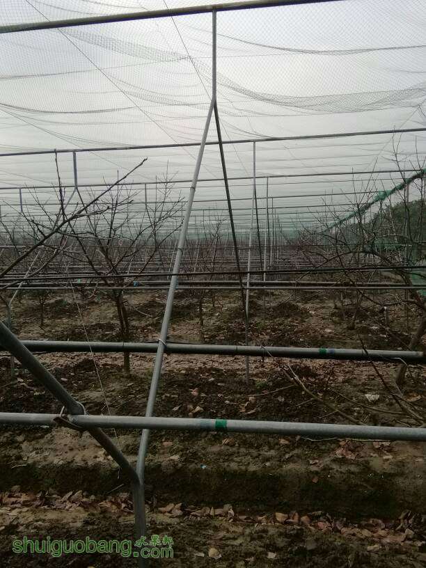 175605winn6uf7bzhvgzgp.jpg
