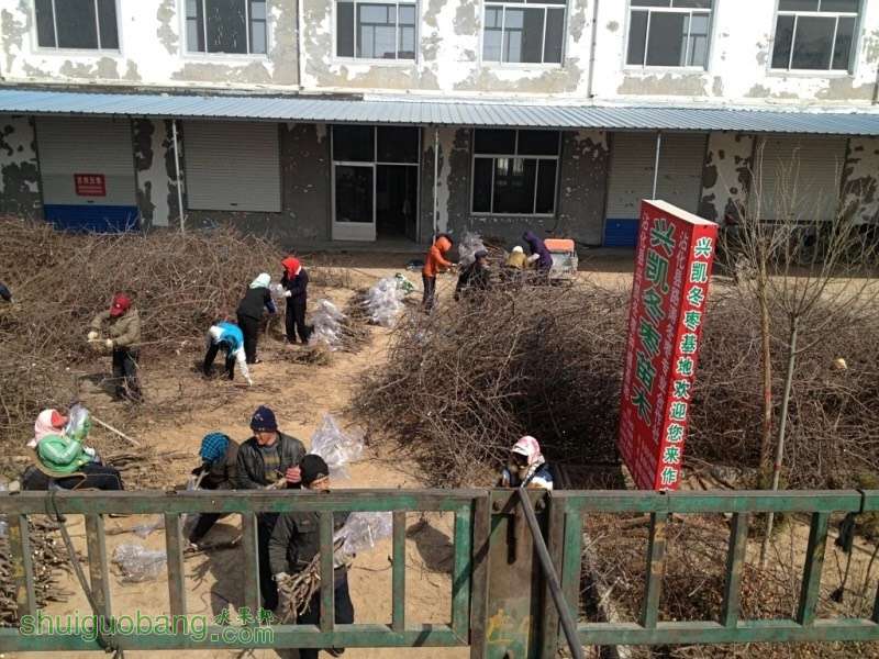 202020an5lozh8h8111cfp.jpg